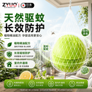 ZYUO【日本】驱避丸家用特效药一窝端蚊虫驱虫防壁虎驱赶剂室内死超强 2盒装【基础装】孕婴可用  操作简单