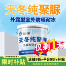 宅小宝天冬纯聚脲防水涂料屋顶屋面楼顶补漏专用防水胶室外抗冻防晒材料 [灰色]20kg/施工1遍=40平方