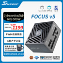 海韵（SEASONIC）【FOCUS v5 GX】1000W 双色线材白金认证 电脑电源｜A级声学认证｜ATX 3.1｜CQC3级｜支持5090显卡