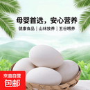 【老农自养土鹅蛋】山林放养 食五谷杂草 保证新鲜 坏蛋包赔 130-160大个鲜鹅蛋 12枚