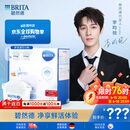 碧然德(BRITA)滤水壶滤芯 Maxtra+多效滤芯12只装 过滤器净水器 家用净水器滤芯 可滤水150L