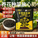 嘉农星园艺新手颗粒多肉肥观花观果植物盆栽懒人通用阳台党专用肥料 新手也能养爆盆（见效快不烧根） 500克*I袋（新手也爆满盆）+量勺