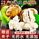 亨迅大凉山新鲜核桃去青皮湿核桃现摘薄皮生核桃2026年时令水果生鲜 精品5斤丨去青皮·送夹子（净重4.5斤） 【清香回甘｜去青皮鲜核桃】