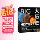 DK大历史 DK BIG大历史 从宇宙大爆炸到我们人类的未来 138亿年的非凡旅程 2023年新版 大卫克里斯蒂安著 中信出版社