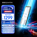 致态（ZhiTai）长江存储 1TB SSD固态硬盘 NVMe M.2接口 TiPlus9100 系列 (PCIe 5.0 产品)