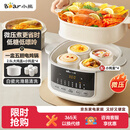 小熊（Bear）电炖盅电炖锅隔水炖家用4人用煲汤炖汤锅燕窝炖盅4.1L炖蒸煮一体微压电炖锅DDZ-J25G2