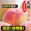 正宗无锡阳水蜜桃新鲜水果整箱山应当季湖景白凤软桃子礼盒 0g 顺丰速发【头茬尝鲜】4-5两8枚【礼盒甄选装】颗颗精选