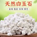 OIMG白玉石多肉铺面石养花鹅卵石鱼缸造景5斤 精品雪花白1-3mm 10斤装()
