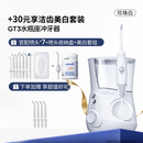 洁碧（Waterpik）GT3冲牙器家用洗牙器水牙线口腔洁牙器 GT3-12珍珠白/美白套组
