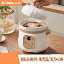 志高（CHIGO）电炖锅电炖盅微压快炖家用燕窝煲汤煮粥神器迷你婴儿预约bb宝宝辅食陶瓷内胆WXT-A51 1.2L 微压快炖【白瓷内胆】