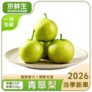 京鲜生安徽砀山青翠梨净重4.5斤 单果250g+ 新鲜水果 源头直发