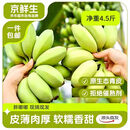 京鲜生广东苹果蕉香蕉净重4.5斤装 生鲜水果米蕉粉蕉  源头直发