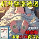 香港敬沛堂青少年儿童成长骨骼发育助力长高身高专用增高穴位贴足贴20贴/盒