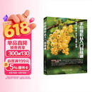 手机摄影从入门到精通