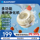 蓝宝BLAUPUNKT果蔬清洗机食材净化机无线便携式水果蔬菜家用0耗材小型全自动清洗蔬菜去农残 白色
