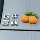 澳颜莱吉利熊猫mini车标图个大吉大利车贴创意搞笑尾标文字银河车尾标贴 包你+桔子【亮银-原标品质】