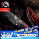 三本盛日本进口大马士革钢水果刀猛犸小刀野餐户外露营精致收藏把玩刀具 日本大马士革钢：梵影小刀