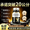 JY友贝健男士草本滋膏官方正品温和配方快乐加倍长效滋养 金枪不倒 5瓶装【夜夜笙歌】 持久36小时双效60粒/瓶【保密发货】