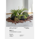 仿真苔藓石头造景绿植假山青苔泡沫假石景观石拍摄道具舞台贴墙 青苔石绿植套餐10