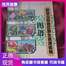 新疆北疆地区野生资源植物图谱王兆松主编新疆科学技术出版社