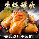 【拍1发6】麻辣蒜蓉生蚝罐头即食网红小海鲜熟食零食100g/罐YW 【到手6罐】麻辣生蚝3罐+蒜蓉生蚝3罐 鲜活制作，个大肥美