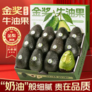 山姆大叔 金奖·哈斯牛油果【闪送】智利鳄梨非即食新鲜牛油果水果礼盒装 【80%选择】精品果丨约100-130g 6枚【80%选择-狠划算】普装