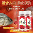【爆护推荐】新款鲜动物蛋白钓鱼饵料鲜丹罐装 【实体店59元1瓶】 【拍一发三】到手3瓶