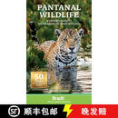 【3-4周达】Pantanal Wildlife: A Visitor's Guide to South America's Great Wetland