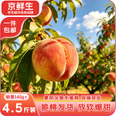 京鲜生突围水蜜桃净重4.5斤 单果140g+ 蒙阴蜜桃 桃子生鲜水果 源头直发