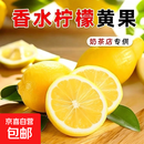 新鲜广东黄柠檬产地直采京东包邮精挑中大果果肉厚实出汁率高 香水黄柠檬6颗单果70g+