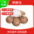 京鲜生山东牛奶小芋头 净重4.5斤中果25g+ 源头直发 蔬菜辅食 自营包邮