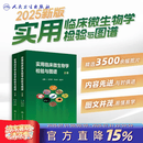 现货 实用临床微生物学检验与图谱 上下册 陈东科病原微生物技术方法病原体流行病学分析病毒细菌真菌寄生虫鉴定药敏试验医院感染监测百科 实用临床微生物学检验与图谱（上下册）