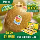 佳沛（zespri）新西兰阳光金奇异果原箱 16粒巨无霸 单果约204-233g   水果礼盒