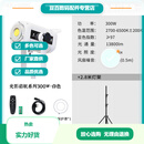 沃尔夫冈光影启航系列300W双色补光灯摄影灯摄影像补光灯常亮灯聚光灯直播人像影棚设备拍照柔光灯 300W白色灯双色温+2.8米灯架 标配