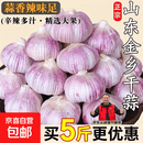 大蒜头2026年干蒜金乡大蒜优质紫白皮干货农家自种 【精品大蒜4.5厘米】5头