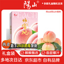 阳山水蜜桃 无锡阳山水蜜桃 7-8两 8枚 水蜜桃 水果礼盒 源头直发