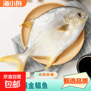 海捕金鲳鱼 新鲜速冻冷链直发 450-500g/条 净重 3条