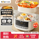 小熊（Bear）电炖盅电炖锅隔水炖家用4人用煲汤炖汤锅燕窝炖盅4.1L炖蒸煮一体微压电炖锅DDZ-J25G2