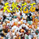 派乐特鱼缸底砂造景石头子五彩石溪流石水族箱龟缸多肉装饰彩色雨花五斤