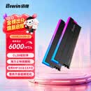 佰维（BIWIN）48G(24G×2)套装 DDR5 6000频率台式机内存条 时空行者DW100 RGB灯条(C28)黑色AI PC电脑存储配件