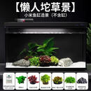 OIMG南美风溪流缸造景全套 [懒人坨草]鱼缸造景