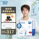 碧然德(BRITA)滤水壶滤芯 Maxtra+多效滤芯12只装 过滤器净水器 家用净水器滤芯 可滤水150L