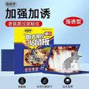 【大号老鼠贴】强力加厚大粘鼠板抓老鼠神器家用老鼠神器驱鼠老鼠 20张装 一触即粘【专抓大老鼠】添加特殊引诱剂