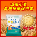 一斗田双国审抗冻抗病抗倒伏农科院小麦种子烟农1212小麦种子高产原种麦 双国审高产麦烟农1212-21斤