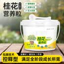 桂花专用复合肥料养花专用肥桂花树肥料有机肥园艺用品缓释肥LY 桂花营养粒425g*5桶 新老包装随机发货