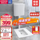 箭牌（ARROW） 蹲便器套装防臭卫生间家用蹲坑冲水箱整套蹲厕大便器池含水箱 AE5007带水弯后进前排高256+水箱