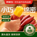京鲜生天目小香薯净重5斤单果约30-80g 产地海南香甜软糯 源头直发包邮
