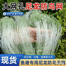 鱼塘防鸟网网眼10厘米20厘米大网孔池塘泥鳅青蛙龙虾养殖天网 60米宽 长度100米【网孔10厘米】长度为展开长度