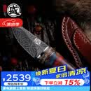 三本盛日本进口大马士革钢水果刀猛犸小刀野餐户外露营精致收藏把玩刀具 日本大马士革钢：梵影小刀