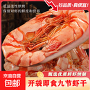 九节虾干即食烤虾干海鲜干货深海大虾 零食对虾烤虾干净重 500g特大款（约30-40只）